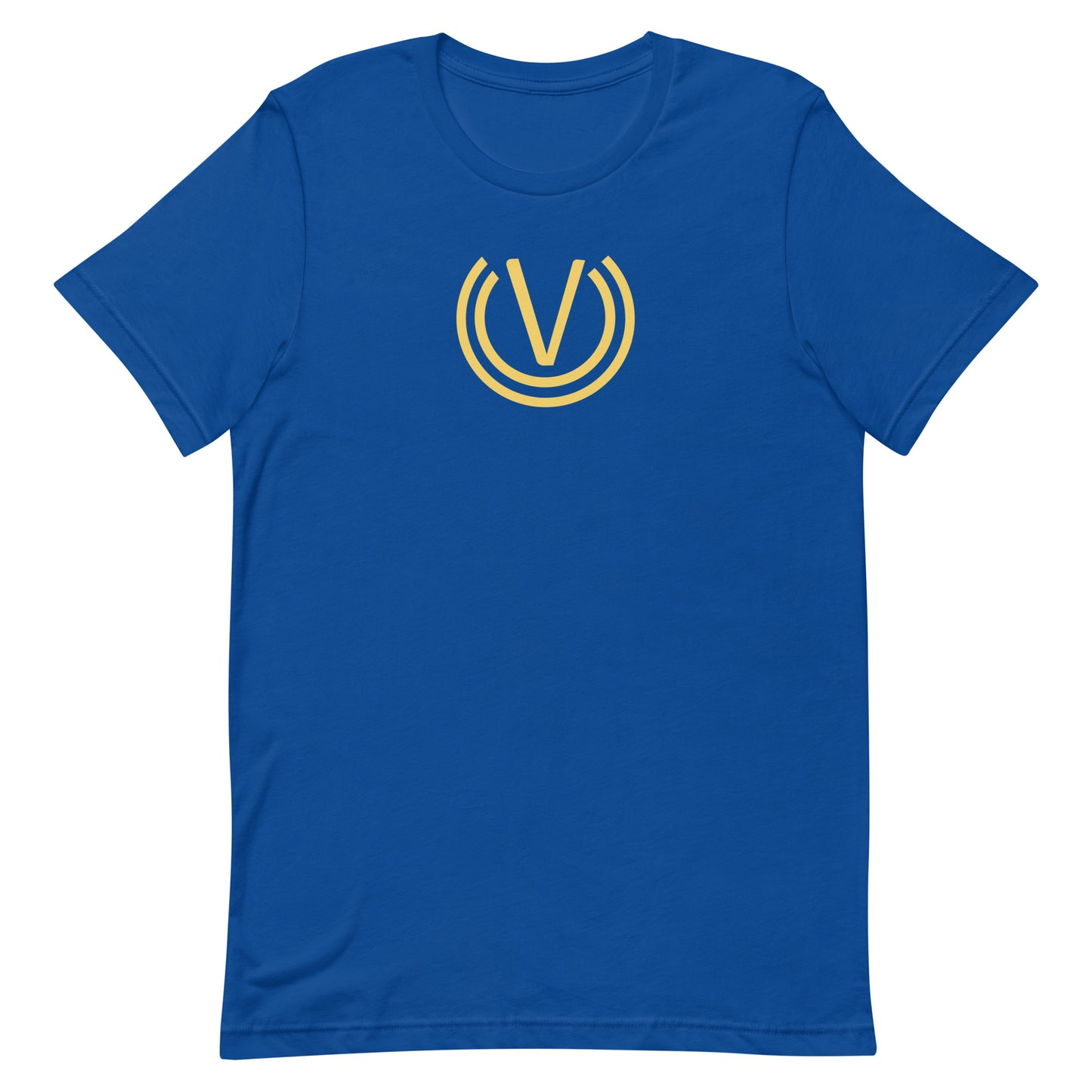Unisex t-shirt (Blue)